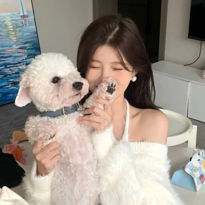 矮精灵历险记